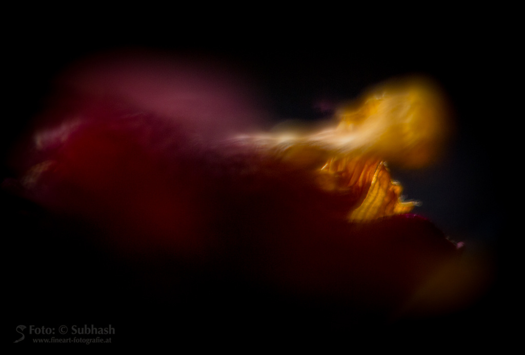Subhash | Tod du wirst meine letzte Liebe sein. Digitale Fotografie, großteils mit Spezialoptik, Pigment-Inkjet-Druck, 38 x 57cm